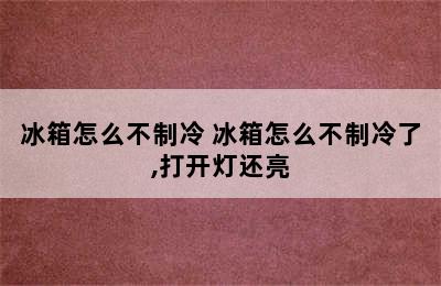 冰箱怎么不制冷 冰箱怎么不制冷了,打开灯还亮